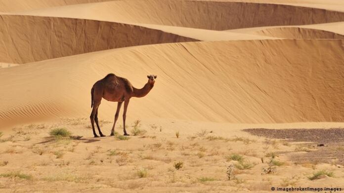 Pas facile de fermer hermétiquement la longue frontière entre le Mali et la Mauritanie